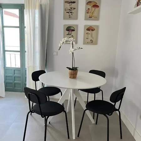The Sunnydise Apartment Luxury Duplex In The City Center Malaga Exterior photo